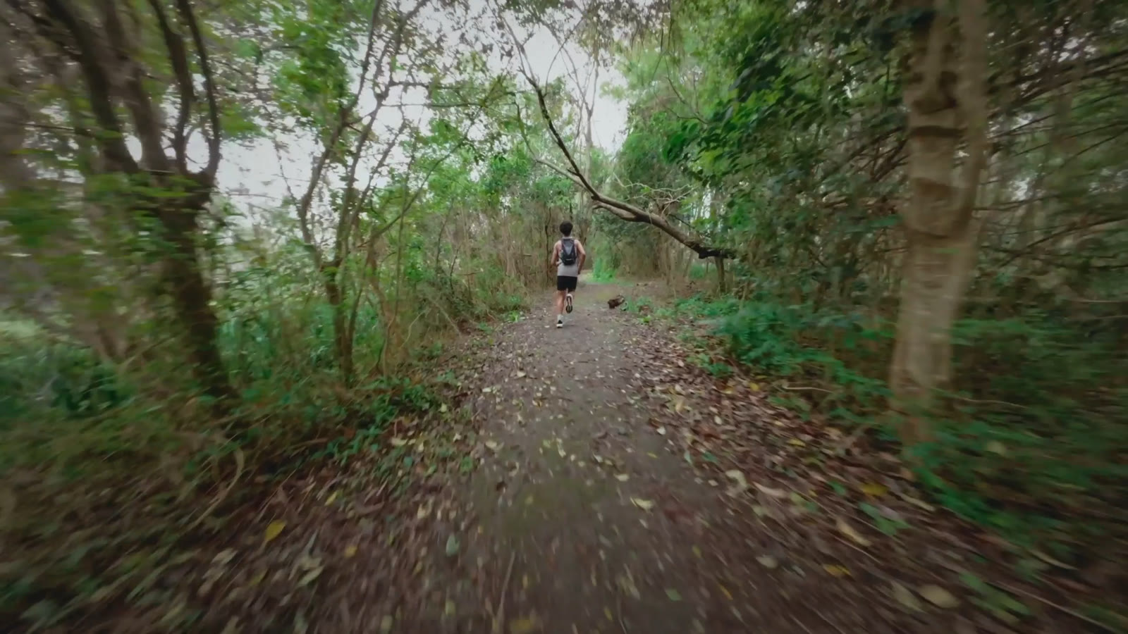 FPV drone chasing a trail runner through forest
