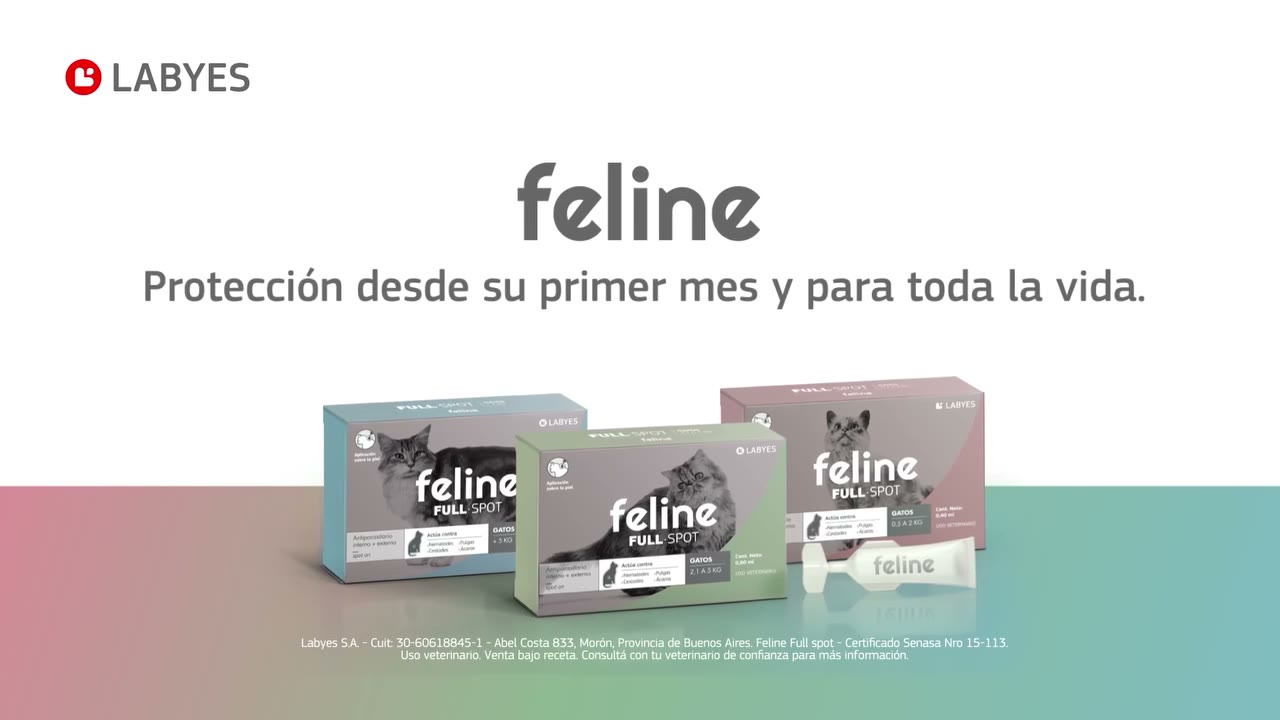 Feline packshot: protection from the first month and for life