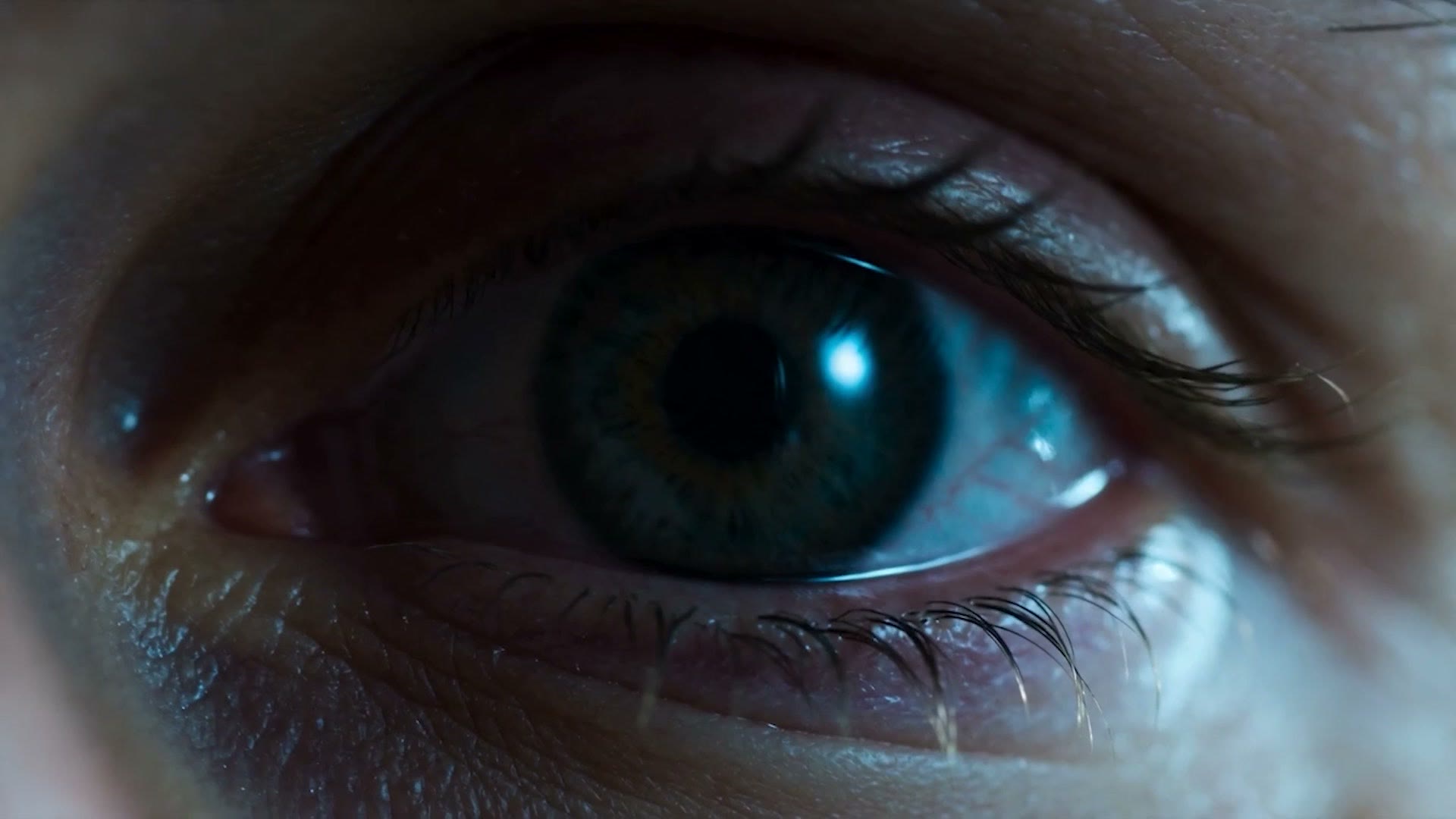 Extreme macro of an open eye in cold steel light